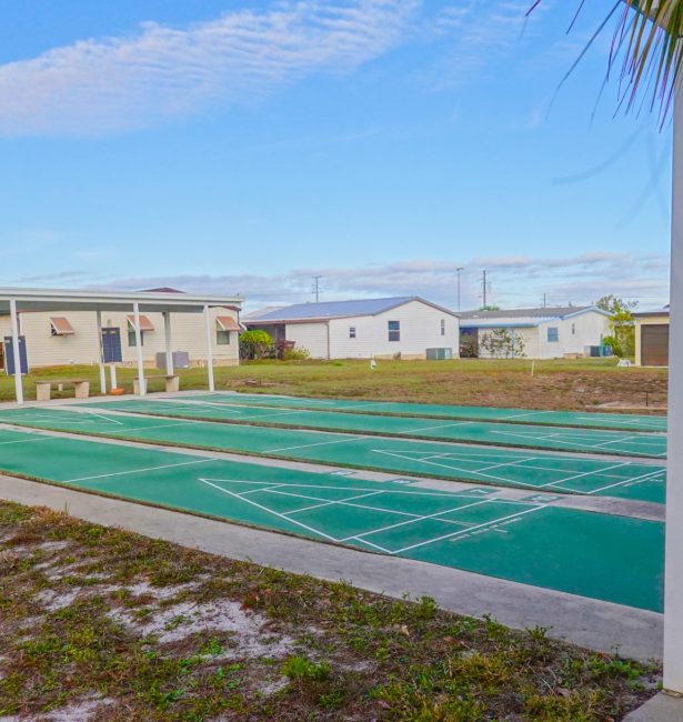 Shuffleboard at Orange Acres